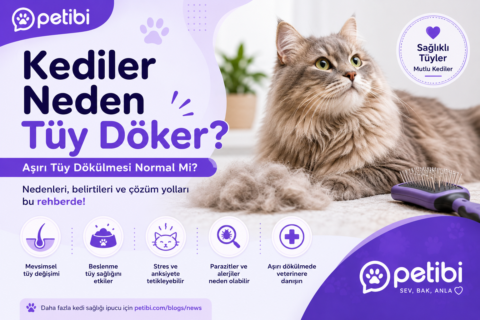 Kediler Neden Tüy Döker? Aşırı Tüy Dökülmesi Normal Mi?