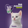 Tavuklu Yavru Kedi 1 Kg x 2 Adet Ekonomik Paket Kedi Maması
