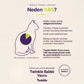 Balıklı Yavru Kedi Maması 1 Kg – Dengeli ve Lezzetli Yavru Kedi Maması