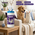 Twinkle Premium Islak Mendil 50 Adet - kedi ve köpek kanepede
