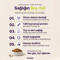 Yetişkin Kediler için Balıklı Tam ve Dengeli Kedi Maması 4 kg