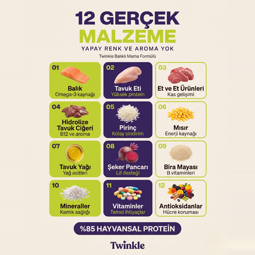 Kısırlaştırılmış Kedi Maması 1 Kg x 4 (2 Tavuklu + 2 Balıklı) Paket