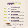Balıklı Yavru Kedi Maması 1 Kg – Dengeli ve Lezzetli Yavru Kedi Maması