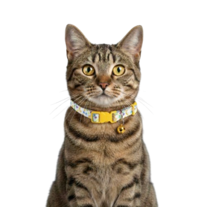 Ayarlanabilir Kedi Boyun Tasması
